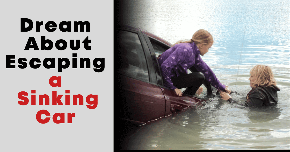 Dream About Escaping a Sinking Car