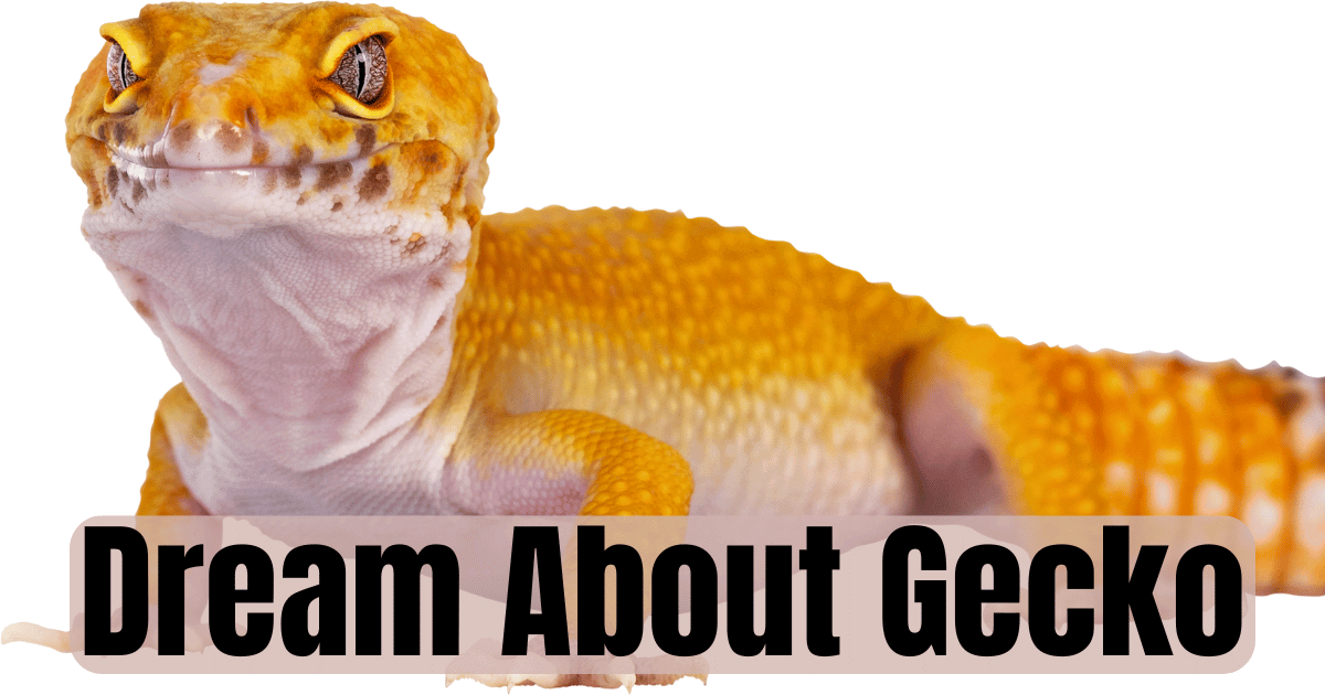 Dream About Gecko