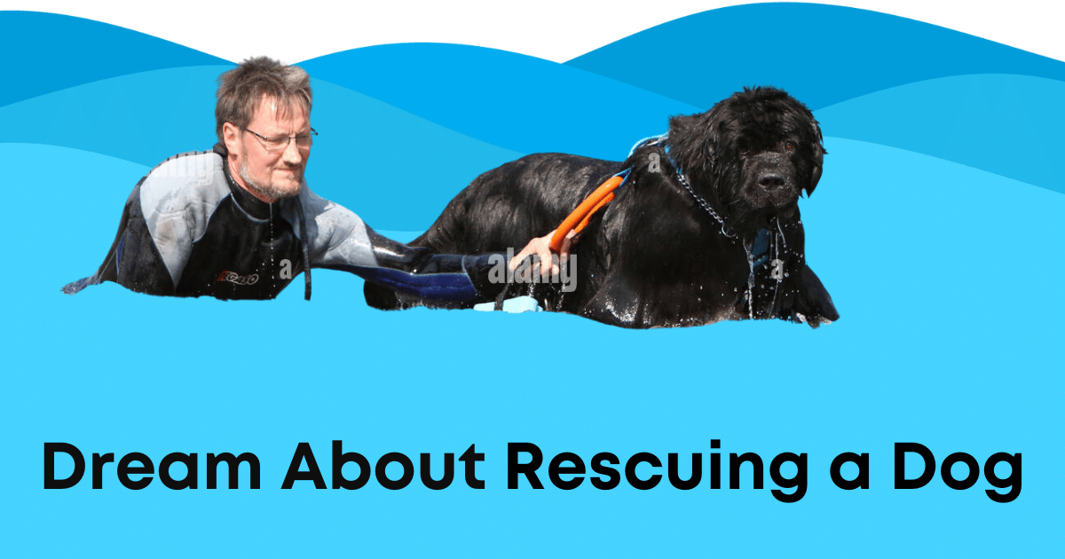 Dream About Rescuing a Dog