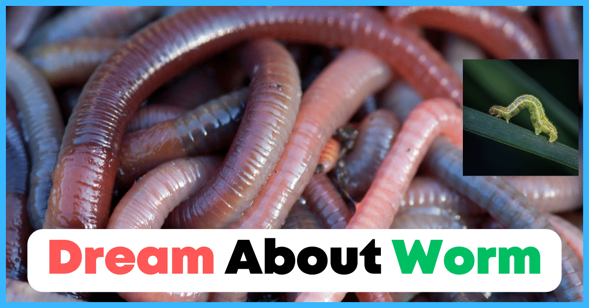 Dream About Worm