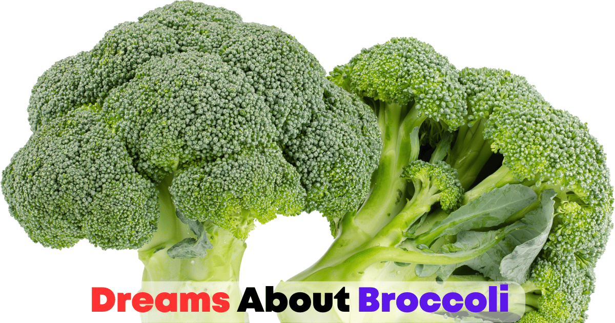 Dreams About Broccoli