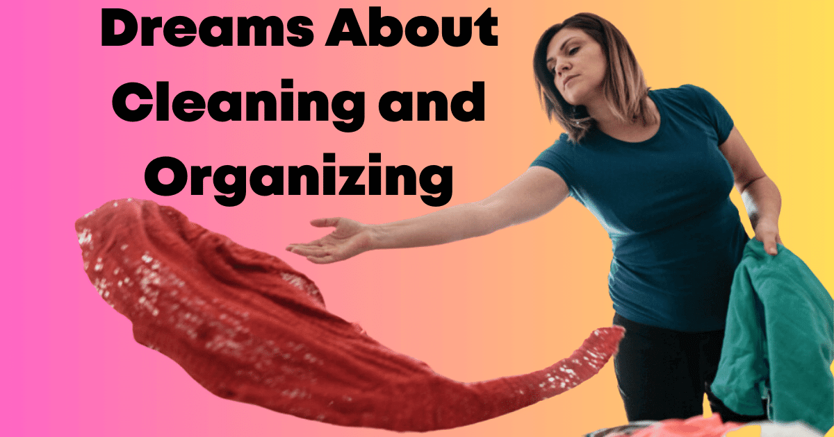 Dreams About Cleaning and Organizing