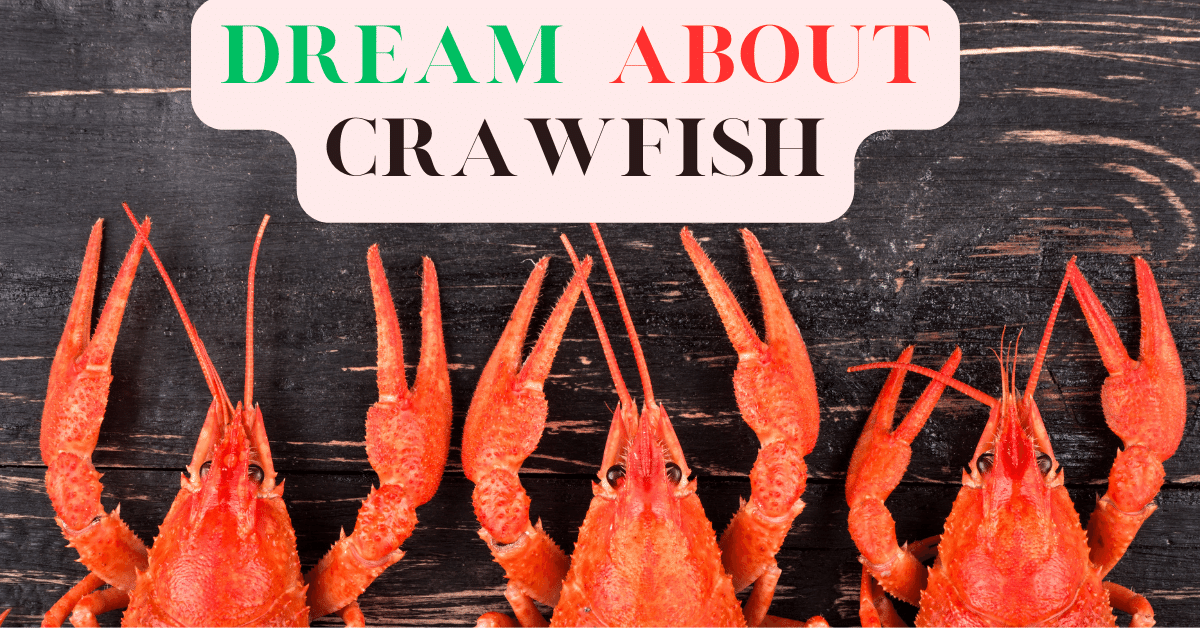 dream about crawfish