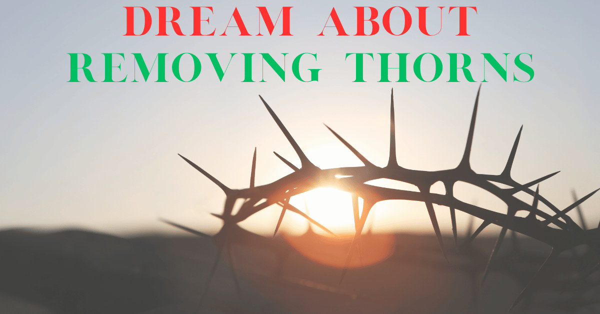 dream about removing thorns