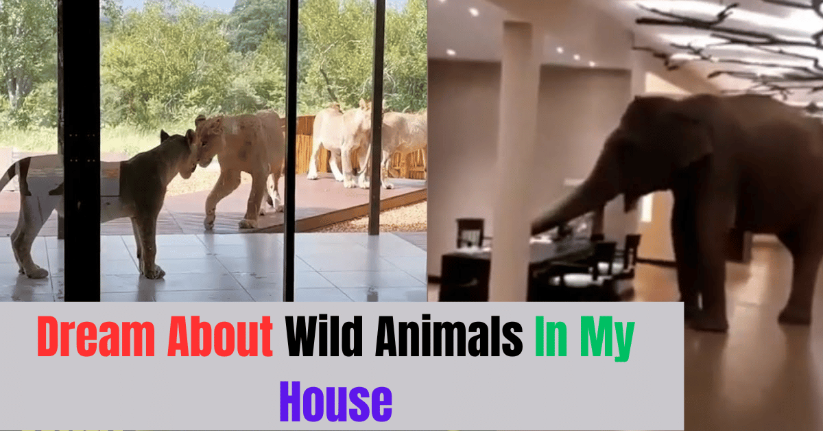 dream about wild animals in my house