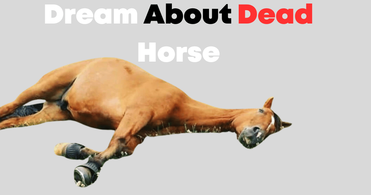 Dream About Dead Horse