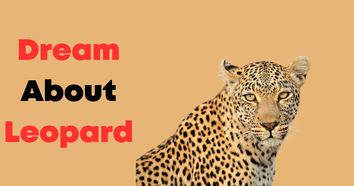 Dream About Leopard