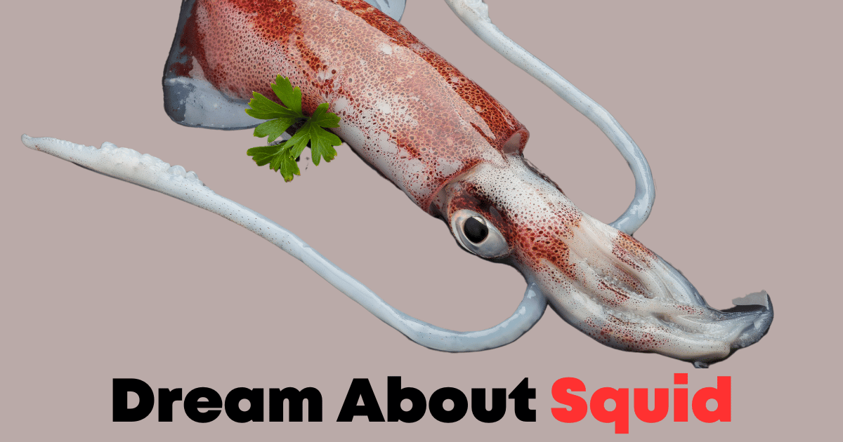 Dream About Squid