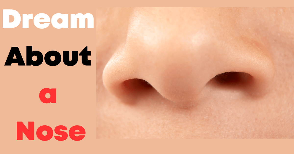 Dream About a Nose