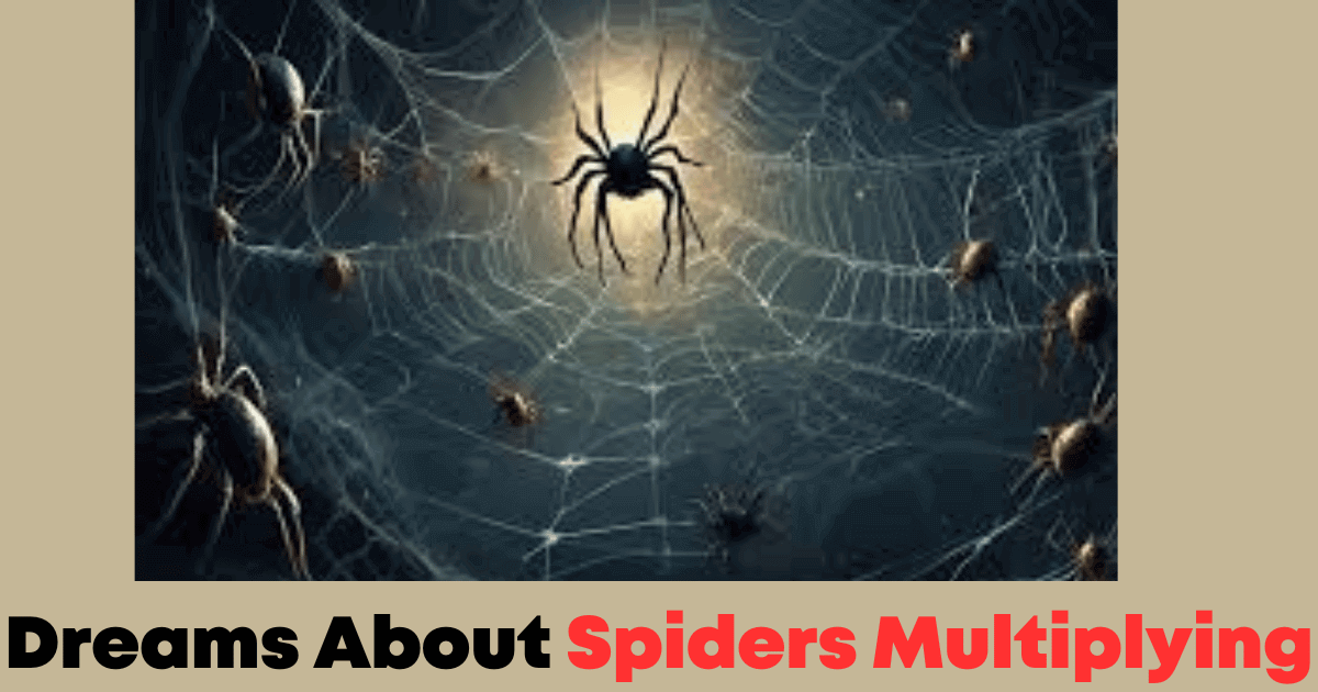 Dreams About Spiders Multiplying