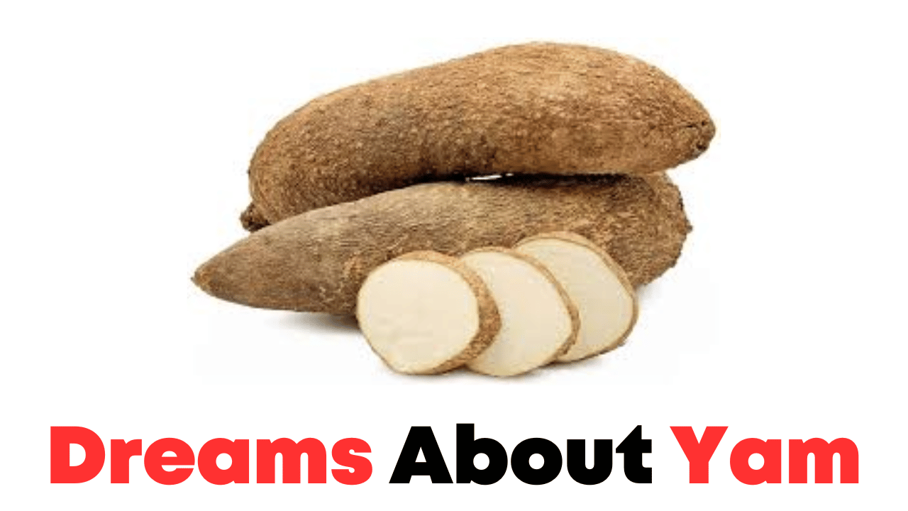 Dreams About Yam