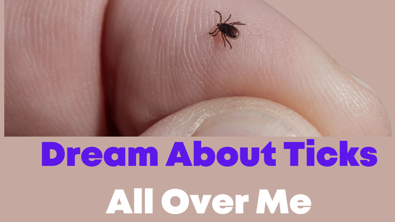 Dream About Ticks All Over Me