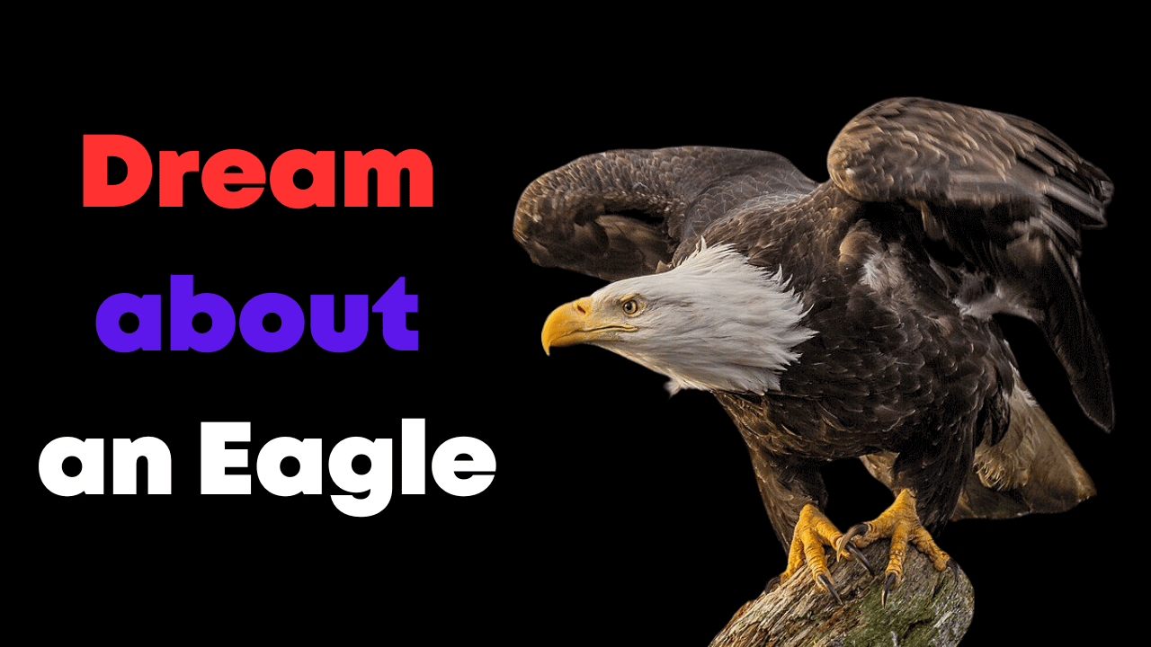Dream about an Eagle