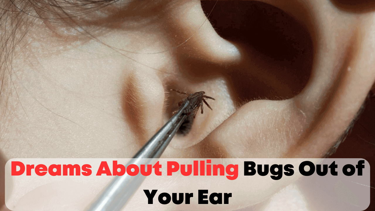 Dreams About Pulling Bugs Out of Your Ear