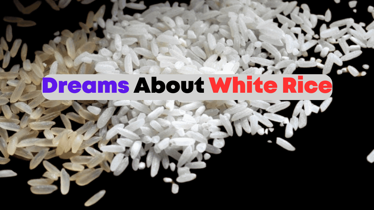Dreams About White Rice